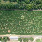 Corn Maze 2025 (1)