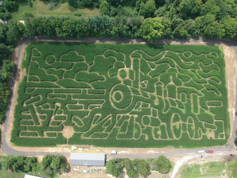Corn Maze 2025 (1) Corn Maze 2025 (1)