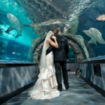 NAQWeddingShow_BrideGroomSharkTunnel_1440SQ