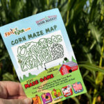 corn maze game card for instagram