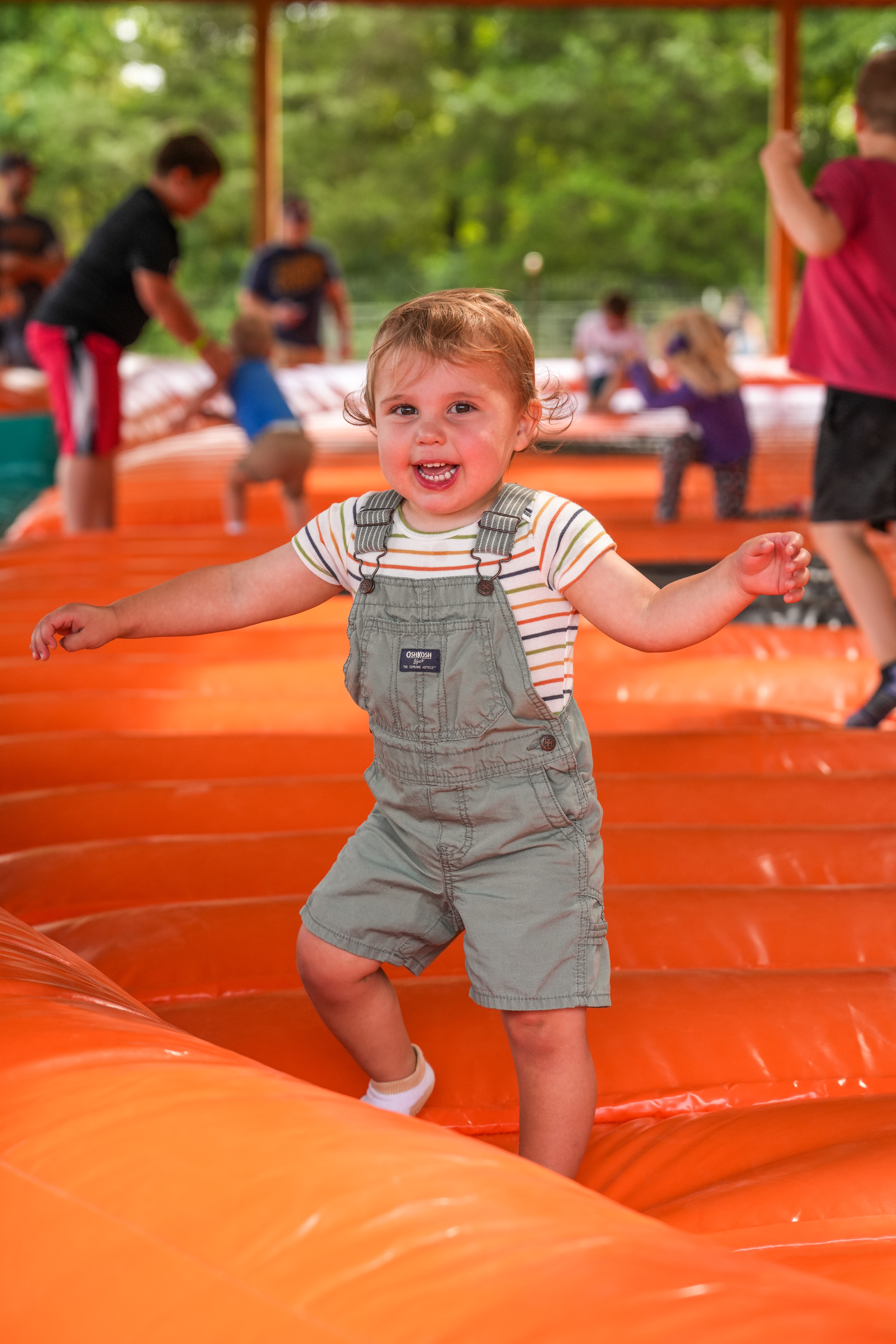 pumpkin bounce pad pumpkin bounce pad