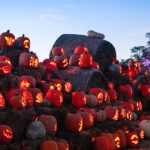 555728641_1262818469206597_6481291161460673628_n