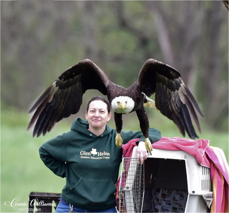 Hidden Gems: Glen Helen Raptor Center