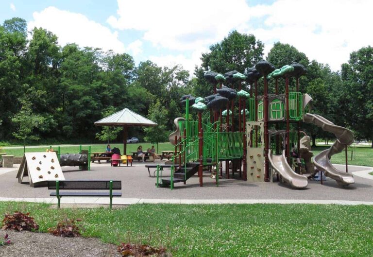 Rentschler Forest Playground