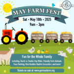 MFF small flyer final