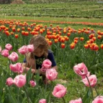 0a5f668f-00b9-426b-89fe-2d9657a12799-2023_GRA_Tulip_fest_1