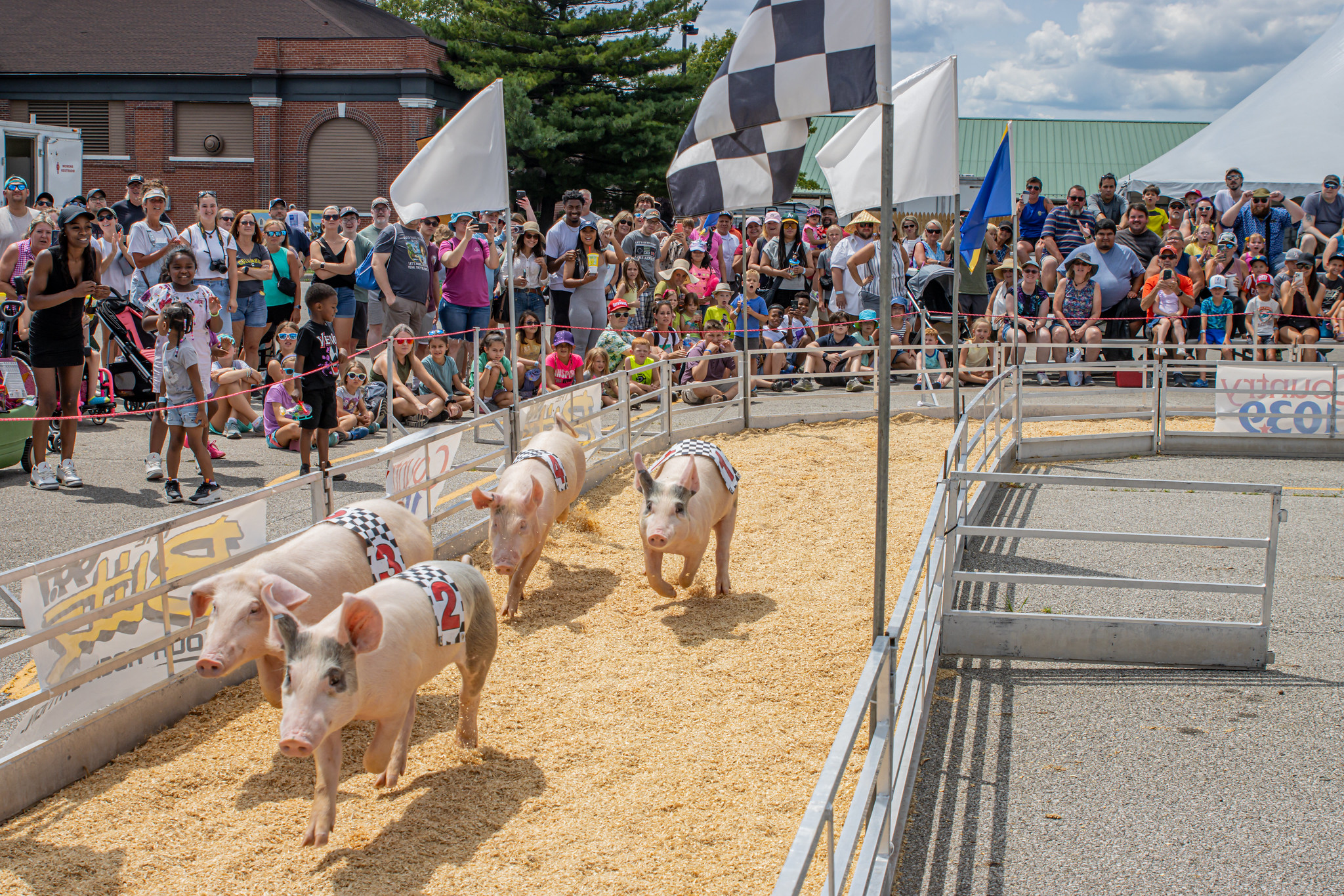 483471790_1130488305547110_8473149859856421228_n 483471790_1130488305547110_8473149859856421228_n