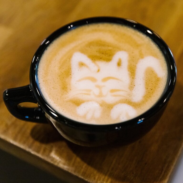 Hidden Gems: Cat Cafes in Cincinnati & Dayton