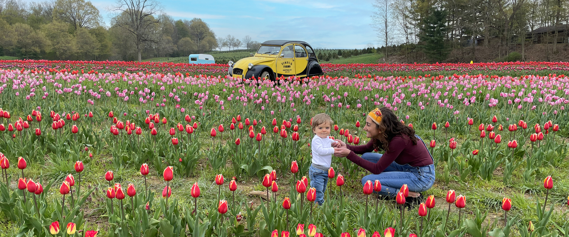 Timbuck+Tulip+HERO+Festival Timbuck+Tulip+HERO+Festival