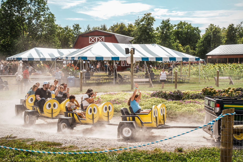385885798_720253896815916_3932327863074834744_n 385885798_720253896815916_3932327863074834744_n