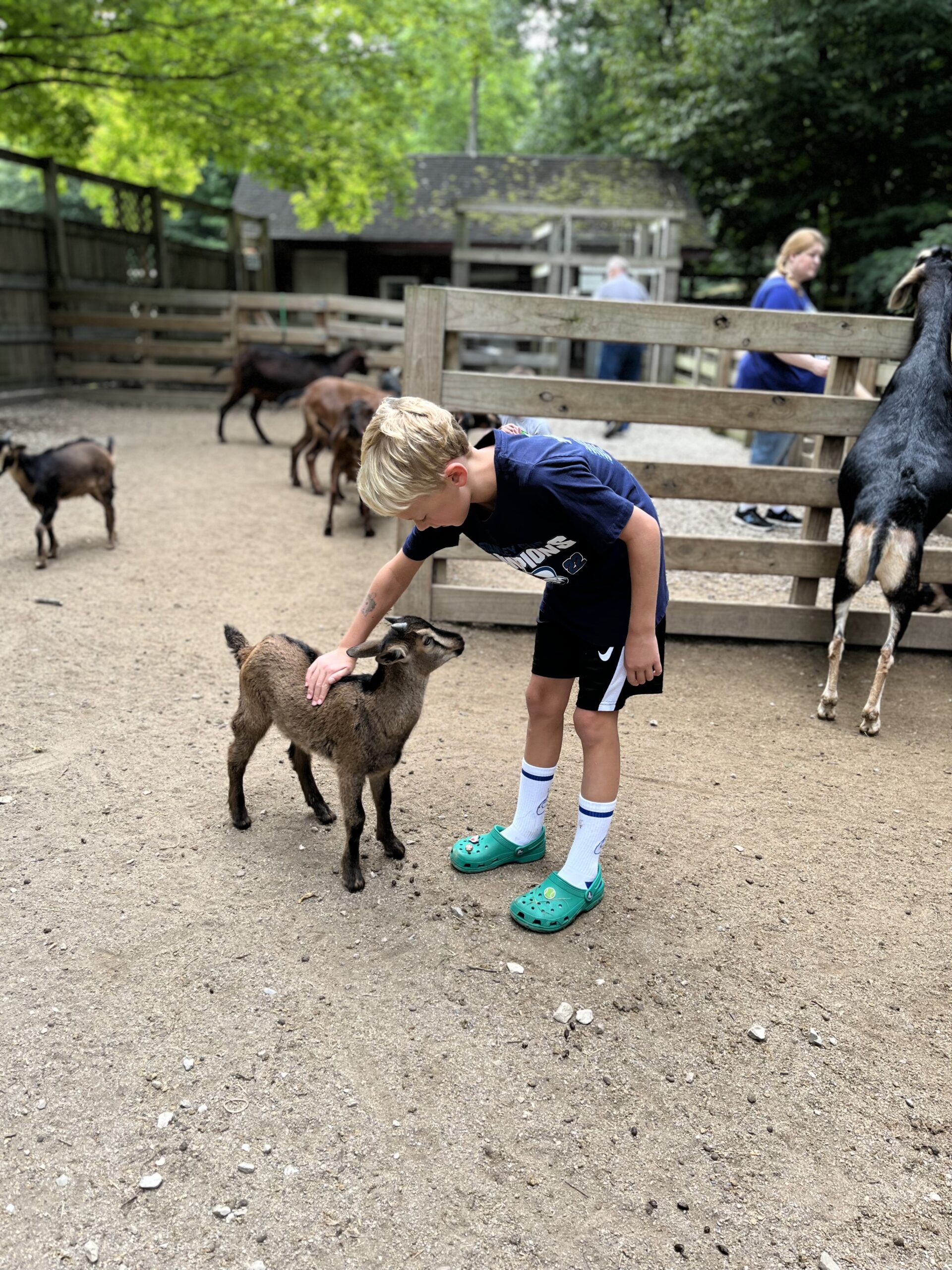 IMG_0705 Petting Zoo Olentangy Caverns 2 IMG_0705 Petting Zoo Olentangy Caverns 2
