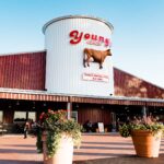 dairy-store-by-annette-ferraro