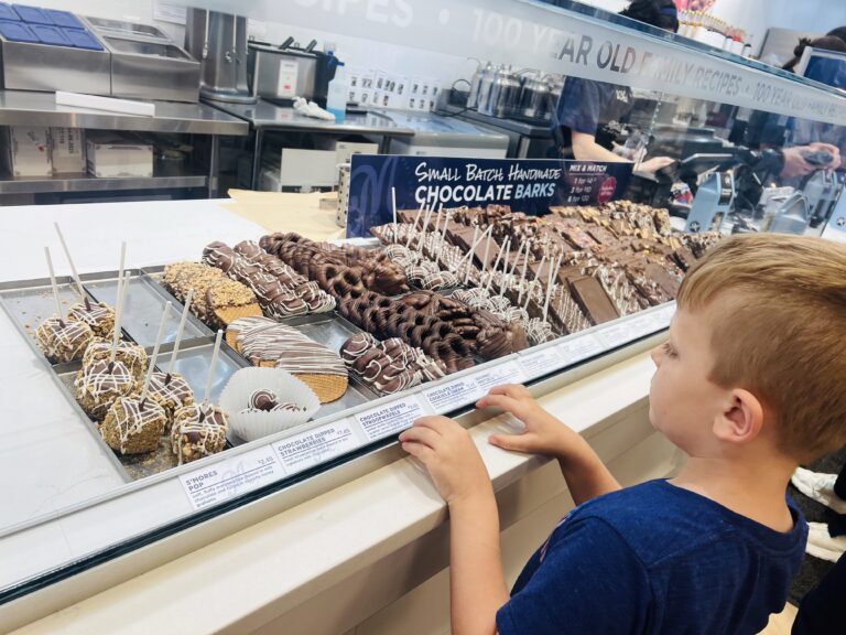 Little Foodies: Milkshake Factory