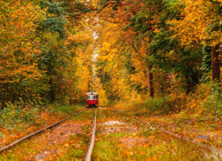 Fall Train Rides Worth the Ride