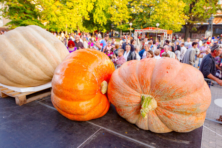10 Under-the-Radar Fall Festivals in Southwest Ohio