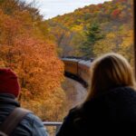 Autumn Train Ride Through the Colorful Forest Landscape