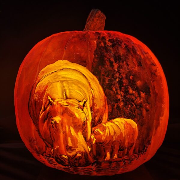 Art-Pumpkins-Zoo-Hippos-scaled
