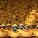 Ducks-close-up-1-1024×683