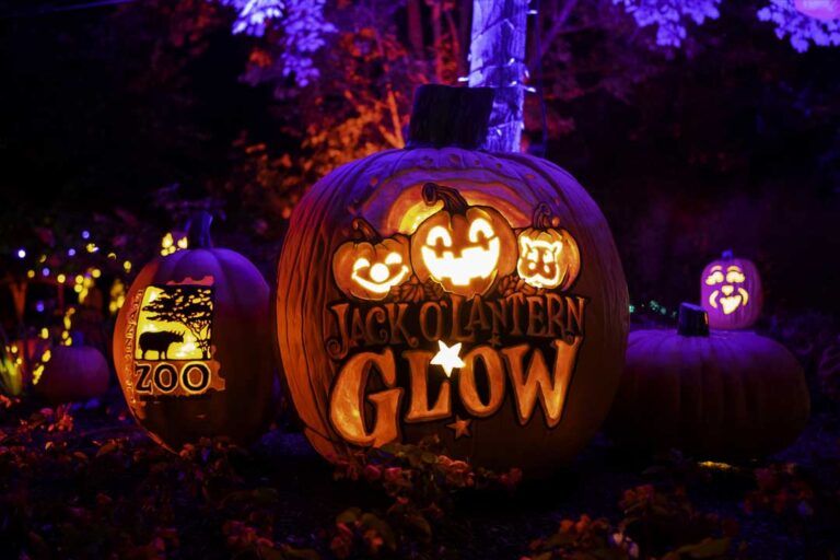 Cincinnati Zoo’s Jack O’Lantern Glow (2026)