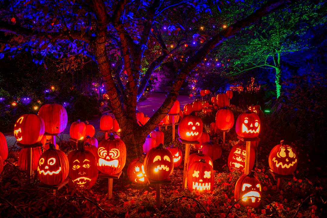 Jack-OLantern-Glow-Cincinnati