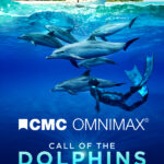 2025-0045_Call_of_the_Dolphins_DigitalAd_600x800_V1