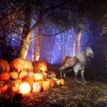 541902-_namehipogrifff-927567-original-1718268245-1-1024×683-1