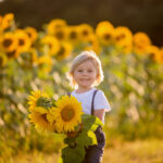 Little toddler boy, child in sunflower field, playing with big flower