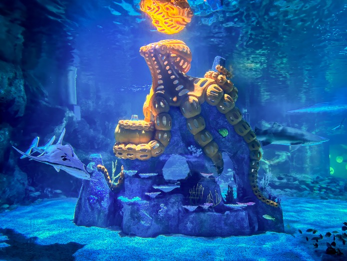 Discover-giant-glowing-animals-made-from-pumpkins-during-Underwater-Pumpkin-GLOW-at-Newport-Aquarium