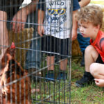 Southwest Parent Ad (1)