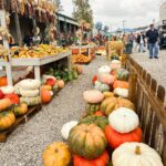 526491054_1163706269116185_3892984871629242752_n