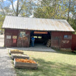 farm stand
