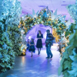 Frost – Cleveland Botanical Garden