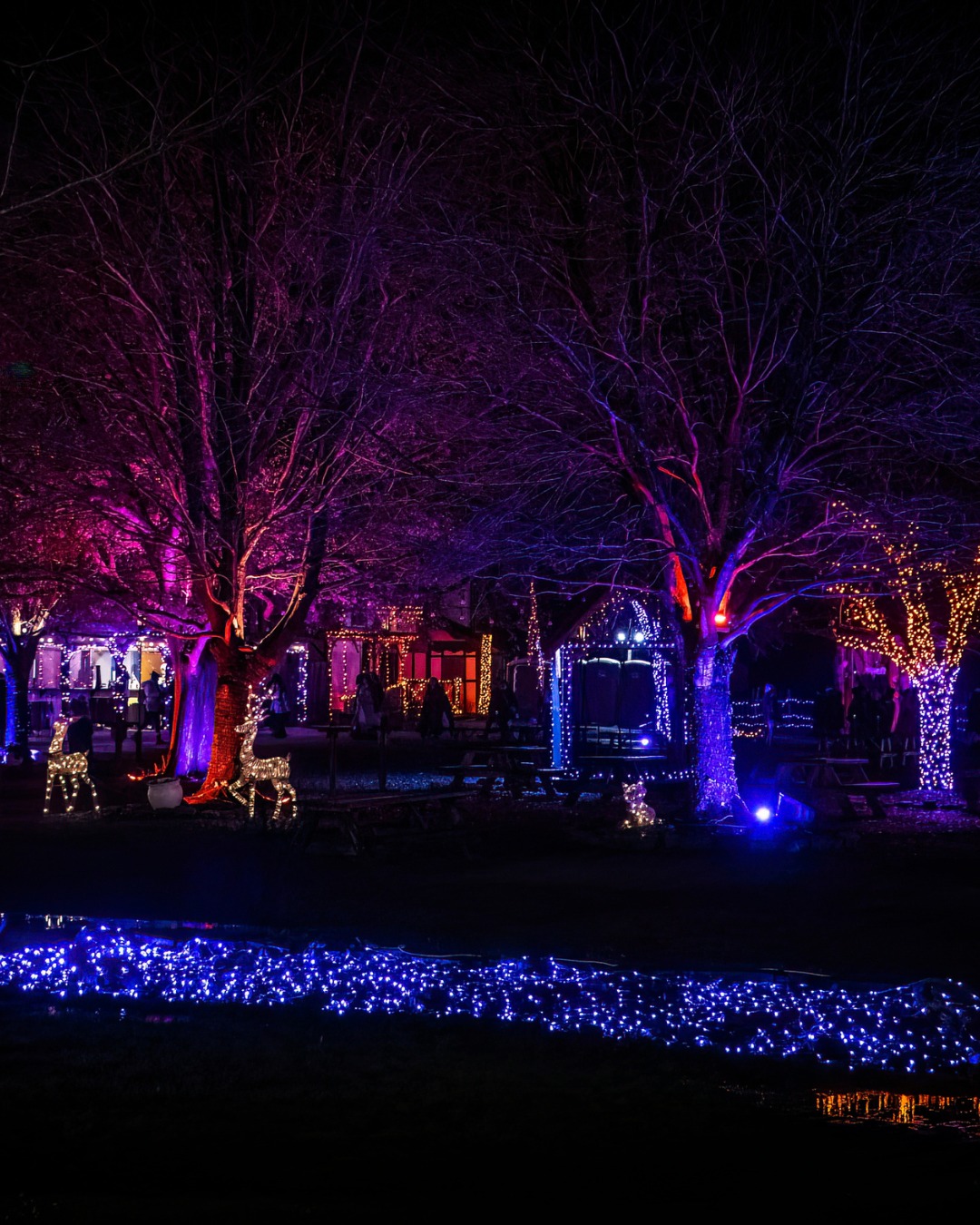 571154097_831122223186540_2767875004027316631_n