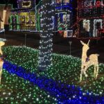 576797604_854962270221489_6913927338045840566_n