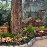 576826918_1234615968702415_8007132835864319085_n