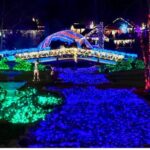 xr:d:DAF0LMdgnZ0:3,j:1305327201077611926,t:23111420