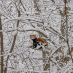 594550907_1271691838314576_4909706573559224393_n