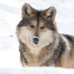 594967635_1271159511701142_4698083360637397289_n