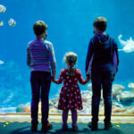 Two kids boys and toddler girl visiting together zoo aquarium. Three children watching fishes and jellyfishes. School boys wearing medicals masks due pandemic corona virus time. Family on staycation