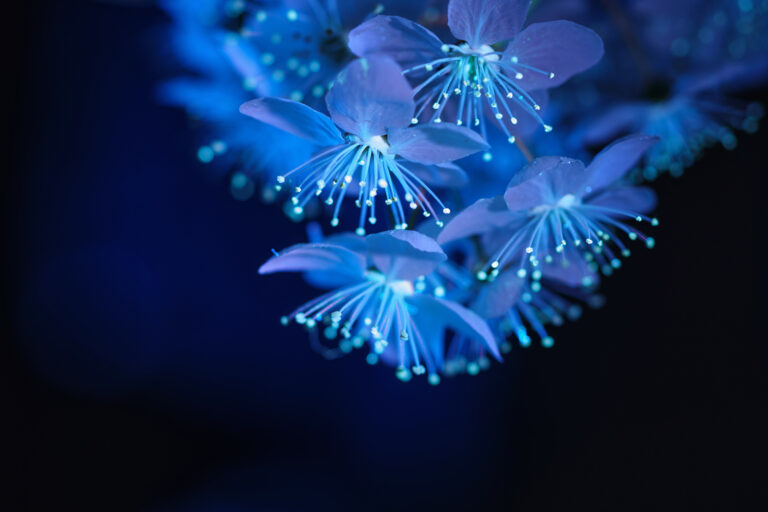 Moonlight Menagerie at Krohn Conservatory: A Dreamy Spring Show