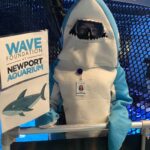 2023.shark on sharkbridge02