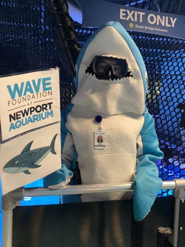 2023.shark on sharkbridge02