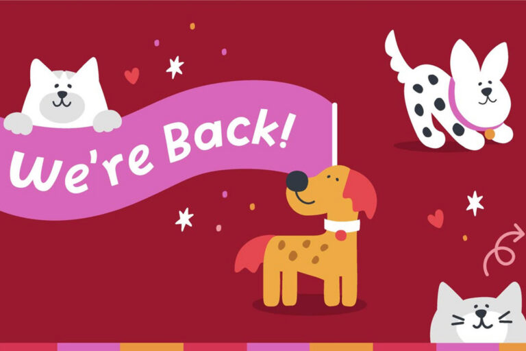 My Furry Valentine is the Tri-State’s largest pet adoption event — and in 2026, we’re celebrating our 15th annual year of lifesaving connections!