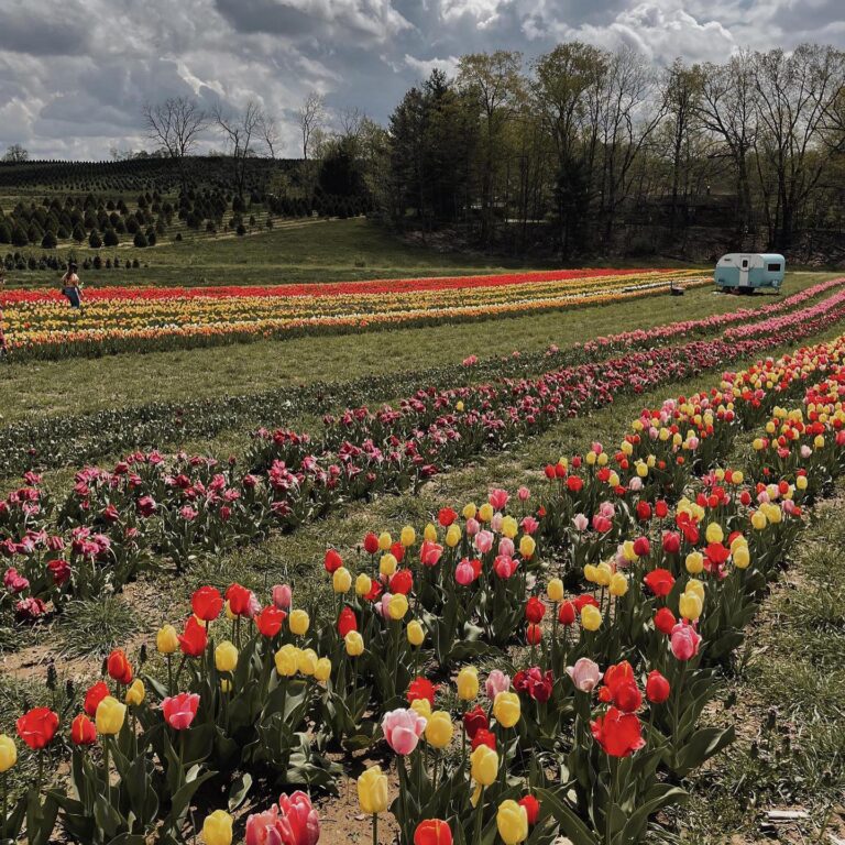 484030488_1082003200633688_1737918816553083034_n