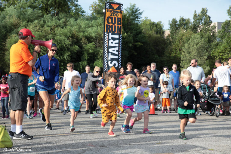 Run Wild at the 2026 Cheetah Run 5K