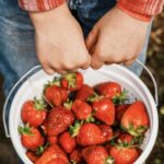 OSP_Strawberry Days_2023 (107)