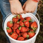OSP_Strawberry Days_2023 (107)