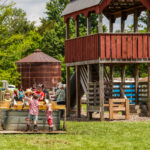 farm yard fun