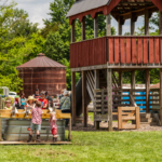 farm yard fun