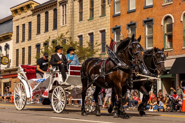 A Free Horse Parade Worth the Drive Delaware, Ohio